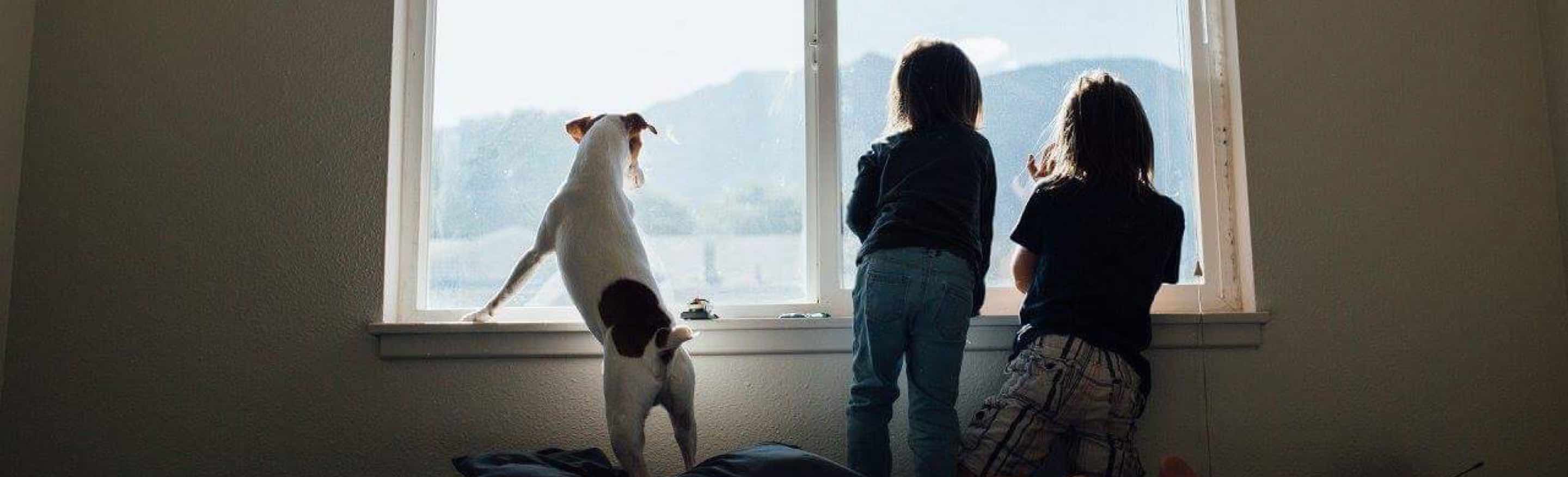 foto - kinderen en hond kijken uit raam